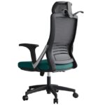 Echo Orthopaedic Chair - Black-green.