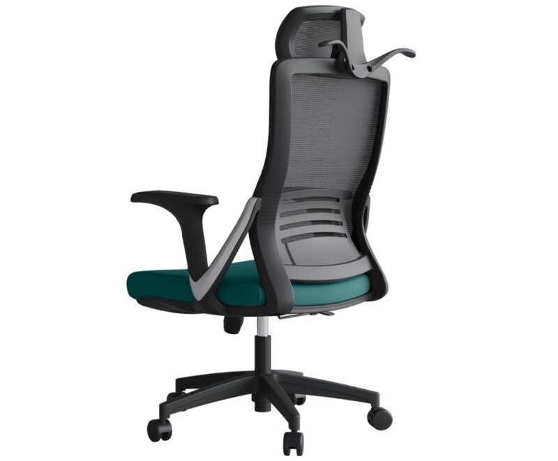 Echo Orthopaedic Chair - Black-green.