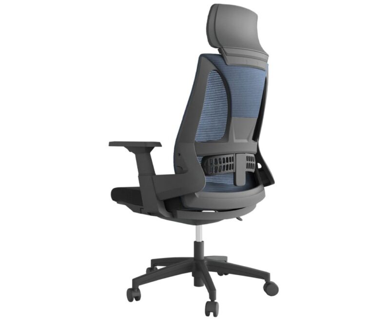 Lama Orthopaedic Office Chair